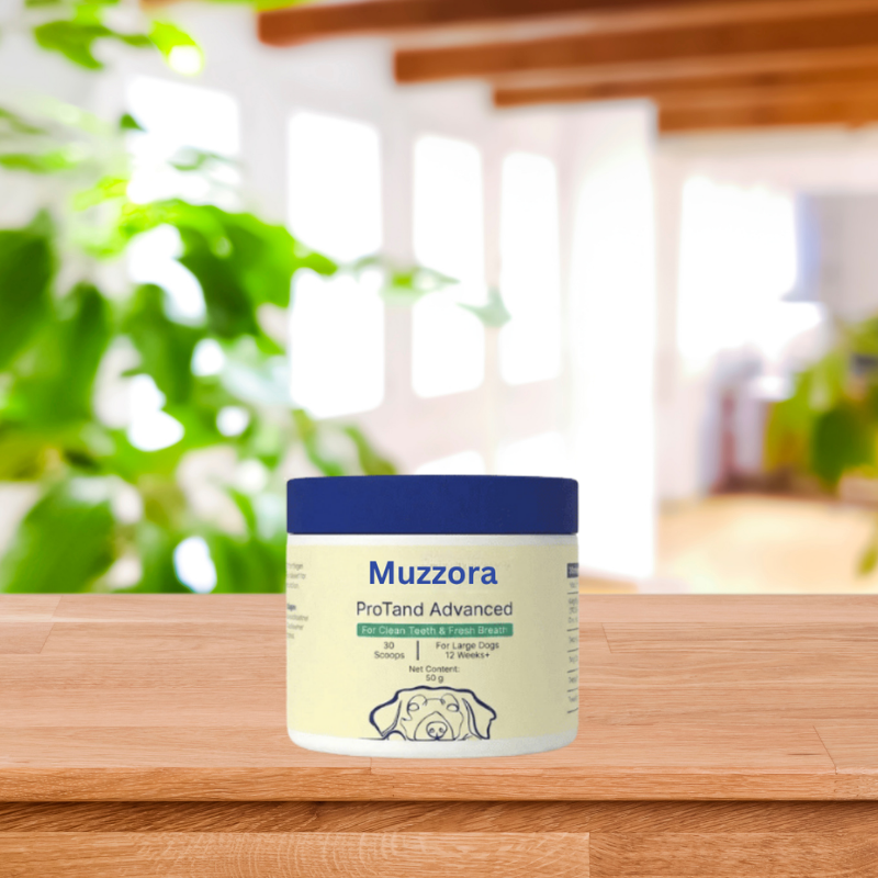 Muzzora