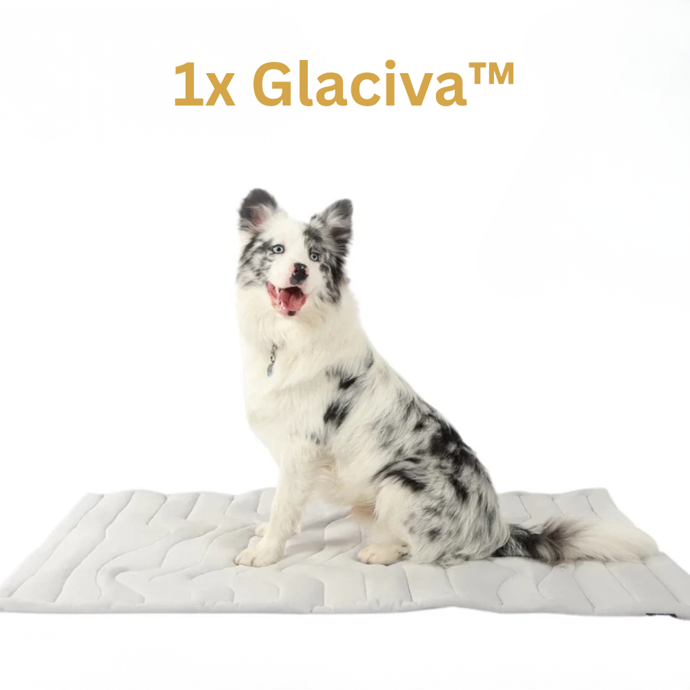 Glaciva