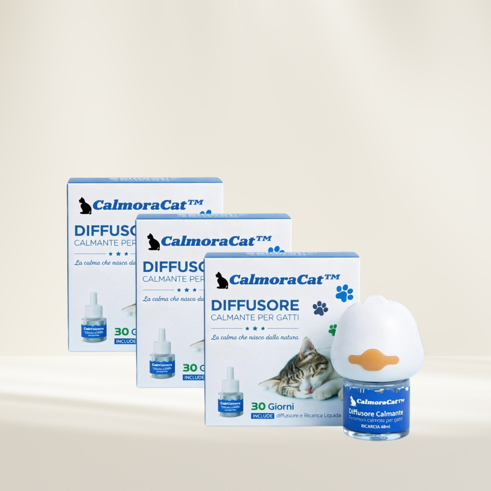 CalmoraCat