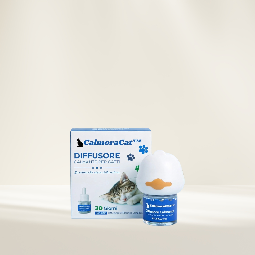 CalmoraCat