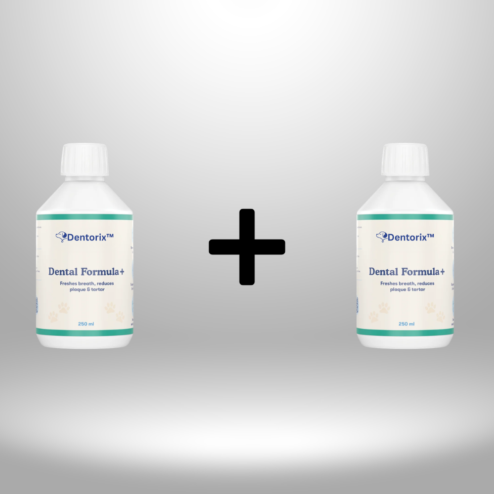 Dentorix