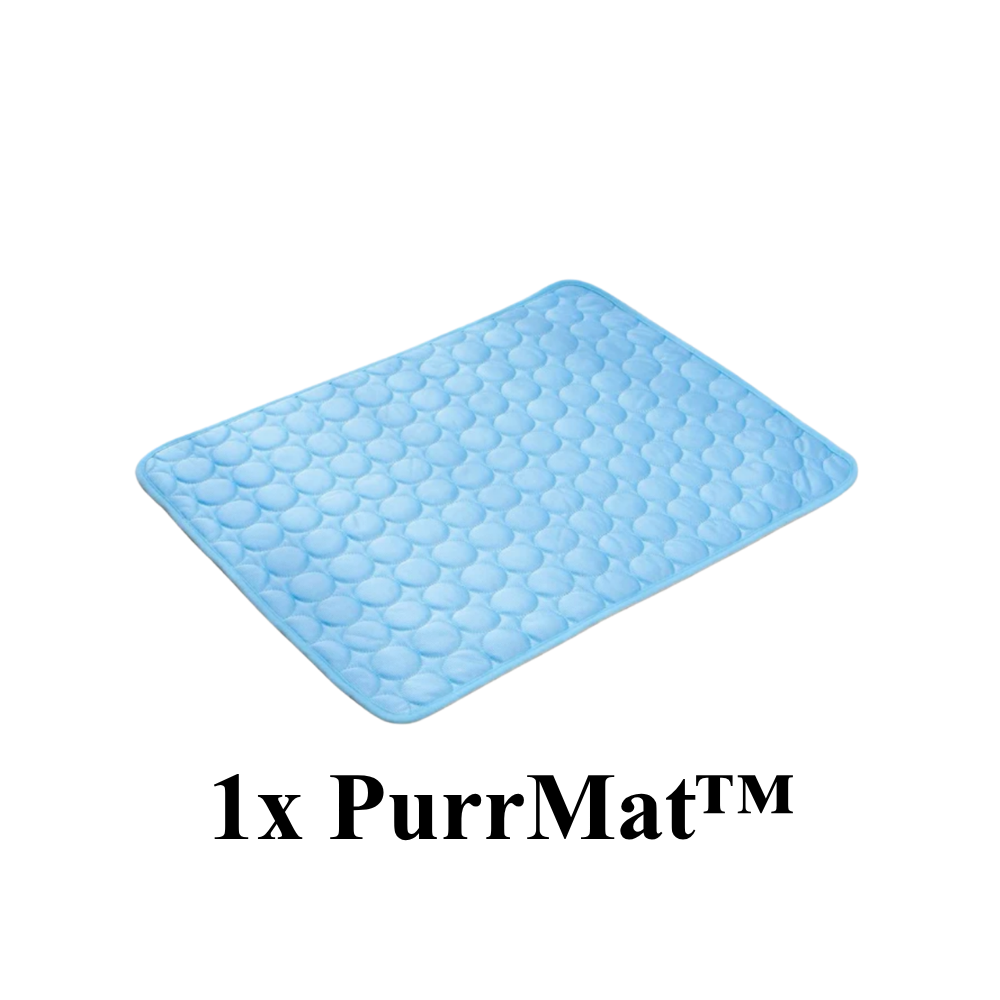 PurrMat